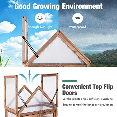 graffy wooden cold frame greenhouse with 3 removable, side view