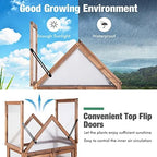 graffy wooden cold frame greenhouse with 3 removable, side view