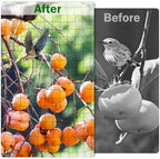 bird netting for chicken coop 50 x 50 showing dimensions