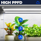 barrina t8 grow light for indoor plant, full, close-up detail