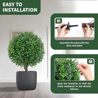 25" artificial boxwood topiary ball tree with ground, front angle view