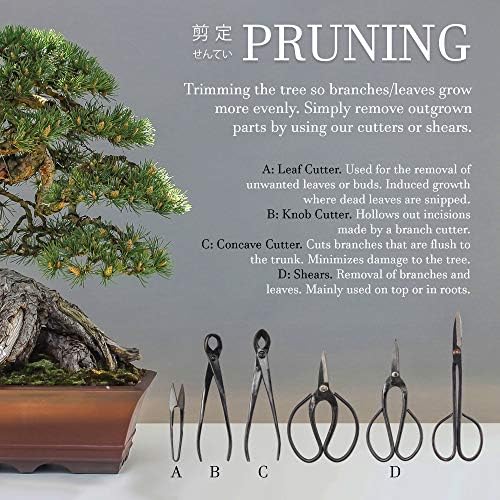 bamboomn 10pc bonsai set, shears, concave cutter, knob showing dimensions