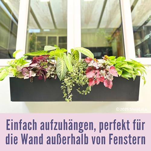 lalagreen hanging planter boxes outdoor (40 inch, 2 on a desk or shelf