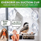 window bird feeder with strong suction cups, bird, side view