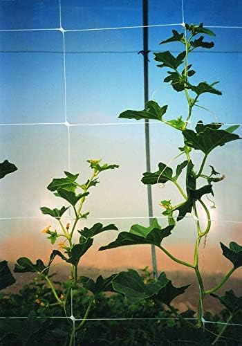 tenax 100521791 084064 hortonova sm plant trellis net, front angle view