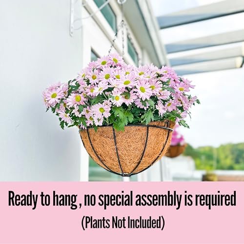 lalagreen hanging baskets (12 in, 6 pack) black on a desk or shelf
