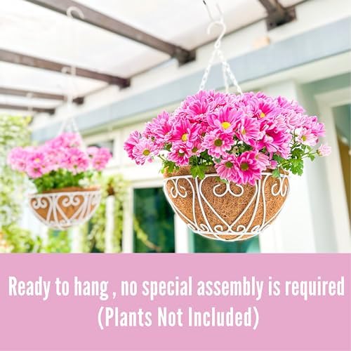 lalagreen hanging planter for outdoor (20 inch, 4, package contents