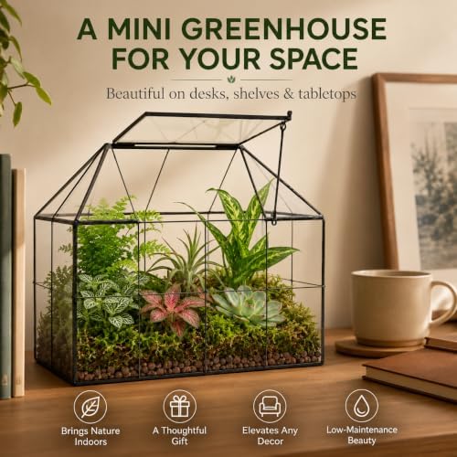 large glass terrarium house planter – succulent plant, package contents