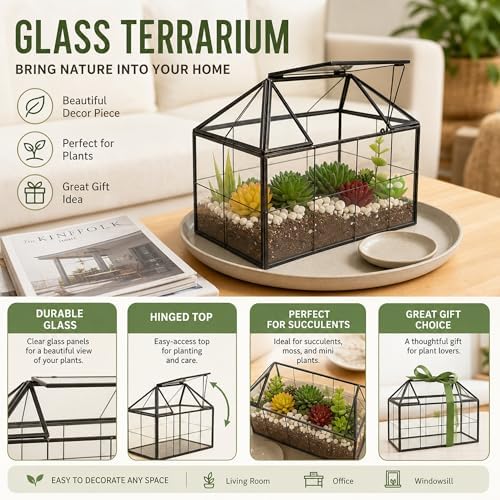 ferrisland glass geometric plant terrarium, clear glass succulent, close-up detail