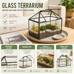 ferrisland glass geometric plant terrarium, clear glass succulent, close-up detail