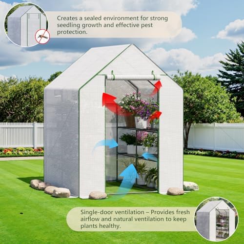 small greenhouse for outdoors, walk-in plant greenhouse with, side view