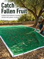 fruit tree netting, 16.4 x 13.1 ft under-tree, side view