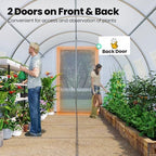 king bird premium 25x10x6.6ft greenhouse for outdoors, large showing dimensions