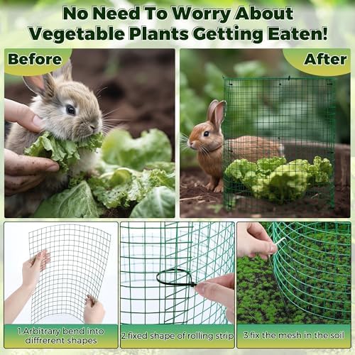 hiboom 6 pack garden plant protectors from animals shown in use