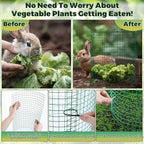 hiboom 6 pack garden plant protectors from animals shown in use