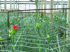tenax hortonova trellis 6.5x100 white net, close-up detail