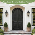 vitalismo 2ft uv-resistant artificial cedar tree for front showing dimensions