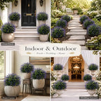 artificial lavender topiary set of 2, faux bushes, package contents