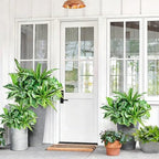 artificial plants for outdoors faux greenery leaves uv showing dimensions
