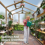 aoxun 6x8 ft wooden greenhouse for outdoors, 6mm on a desk or shelf
