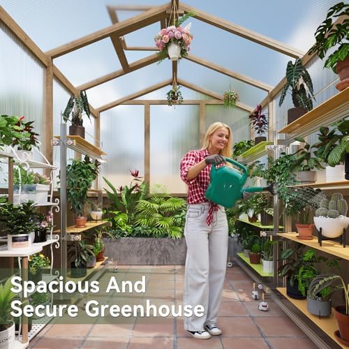 aoxun 6x8 ft wooden greenhouse for outdoors, 6mm on a desk or shelf