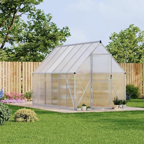 cabihome 6x 11 ft outdoor greenhouse, polycarbonate greenhouse on a desk or shelf