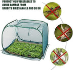 anc pop 3 pack pop up mesh plant, close-up detail