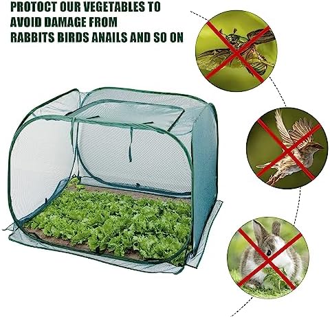 anc pop 3 pack pop up mesh plant, close-up detail