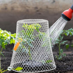 geosar 30 pcs 9 inch chicken wire cloche, main product view
