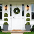 the bloom times 55" tall artificial boxwood triple, side view
