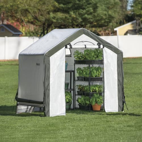 miracle-gro walk-in outdoor greenhouse, clear, 6 x 6, main product view