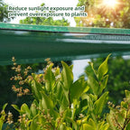 ohuhu crop cages for garden plant: 6x3x5 ft on a desk or shelf