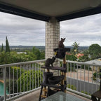 26 ft cat netting balcony, no steel wire, front angle view
