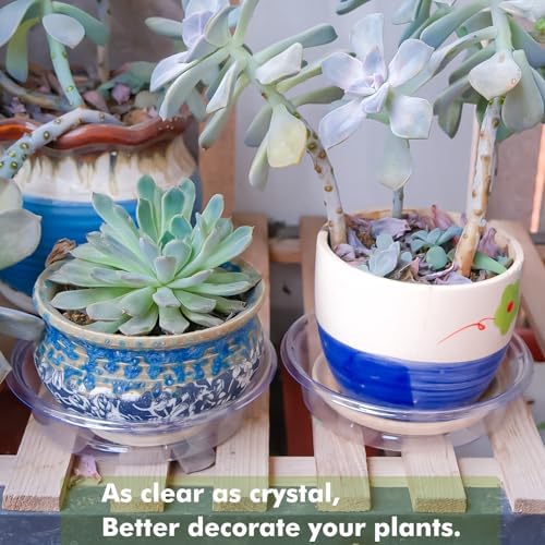 Plant Saucer 20 Pack Plant Trays for Pots 4 Inch Plastic Plant Saucers for Outdoors and Indoors Clear Drip Trays for Potted Plants Flower Pot Plates to Catch Water Plant Drainage Dishes No Holes