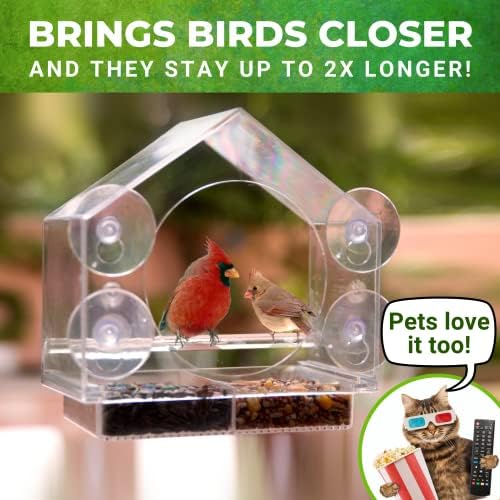 window bird feeder with strong suction cups, bird shown in use
