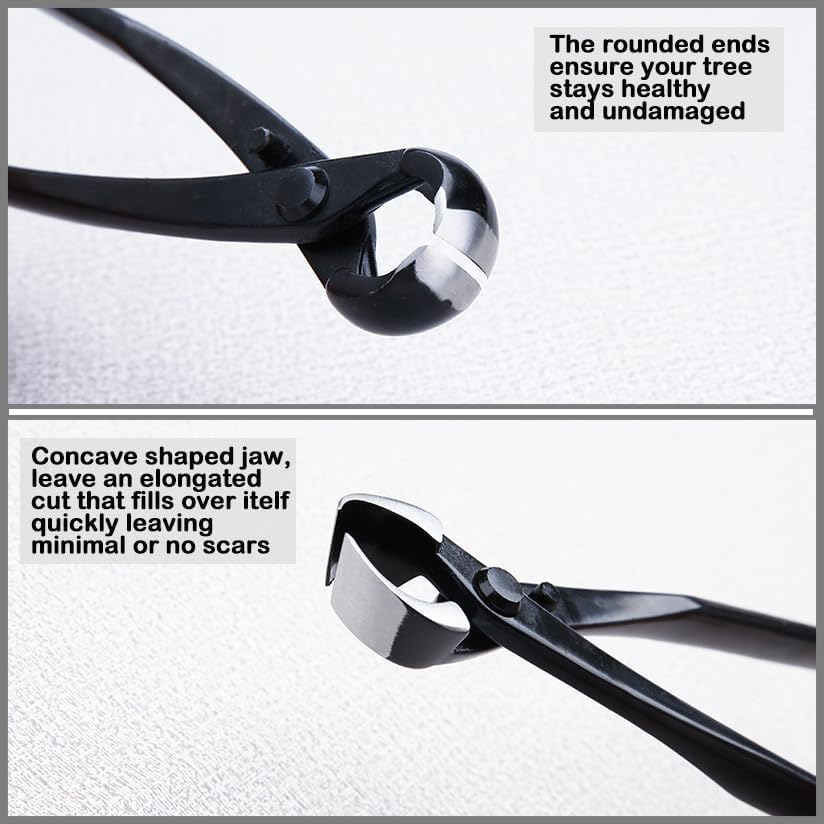 bonsai tool set - 8" concave cutters and, close-up detail