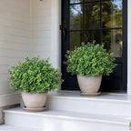 2 sets of artificial boxwood topiary trees for shown in use