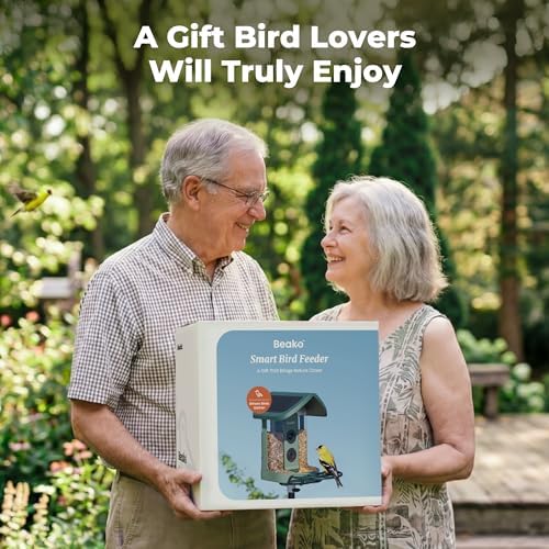 kiwibit solar smart bird feeder with camera, 4k, side view