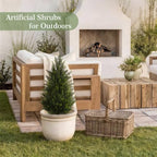 vitalismo 3ft artificial cedar trees set of 2 on a desk or shelf