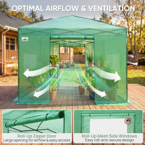 eagle peak 10x10 portable walk-in greenhouse, pop-up indoor shown in use