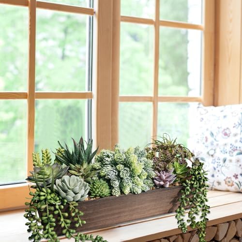 winlyn artificial succulent arrangement 15" assorted succulents plants, side view