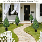 artificial potted plants boxwood topiary trees outdoor indoor shown in use