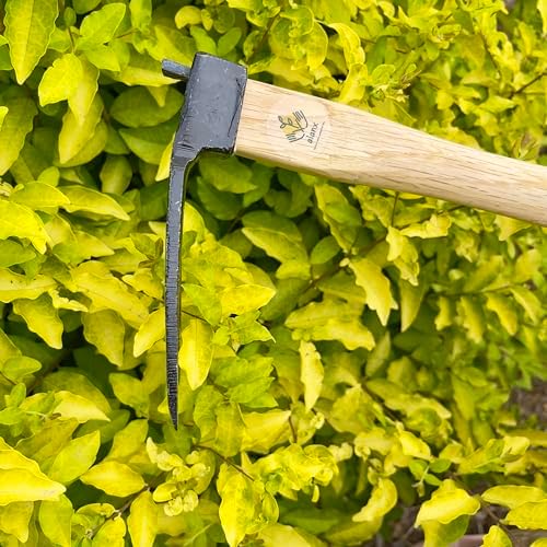14 inch japanese hand tiller/rake for garden, 3-tines on a desk or shelf