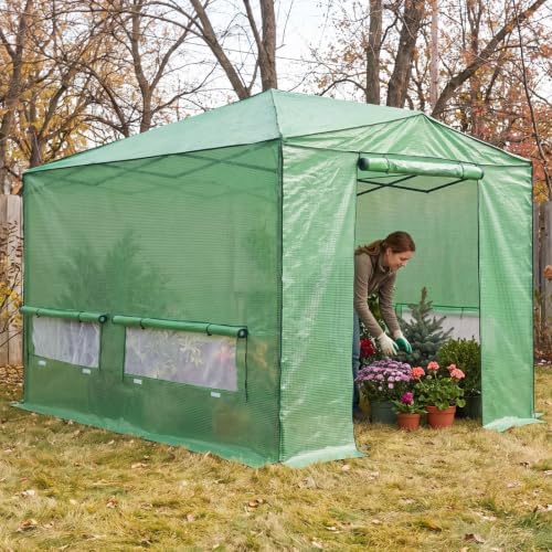 eagle peak 12x8 portable walk-in greenhouse, pop-up indoor showing dimensions