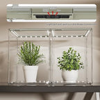 joyzan clear mini indoor greenhouse small tabletop green showing dimensions
