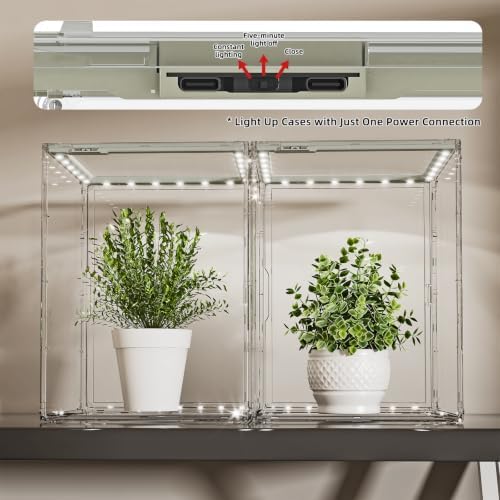 joyzan clear mini indoor greenhouse small tabletop green showing dimensions