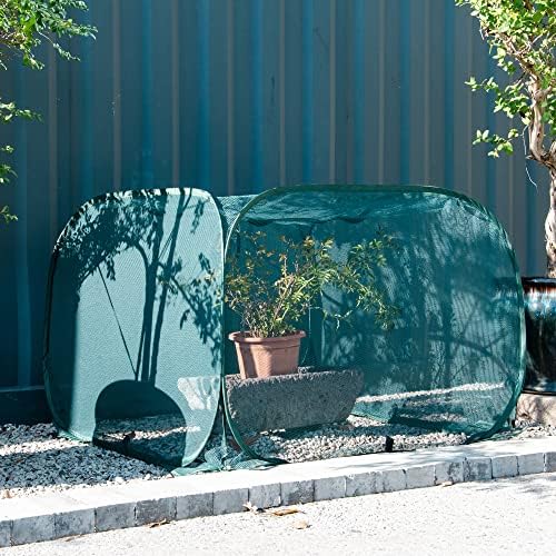 anc pop 2 pack pop up mesh plant on a desk or shelf