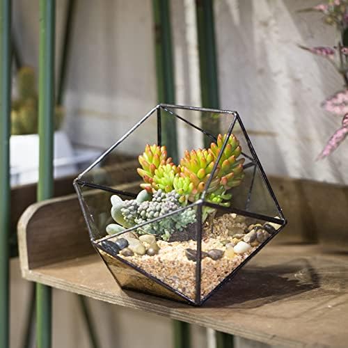 ncyp opened geometric glass terrarium, 6.69" bowl shape on a desk or shelf