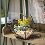 ncyp opened geometric glass terrarium, 6.69" bowl shape on a desk or shelf