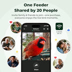 kiwibit solar smart bird feeder with camera, 4k showing dimensions